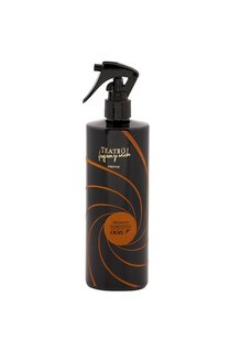 Спрей Gun для дома  Speziato Fiorentino (500ml) TEATRO