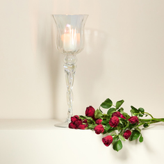 Подсвечник Gloss Cozy Home