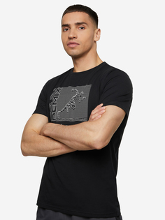 Футболка мужская Demix, Черный