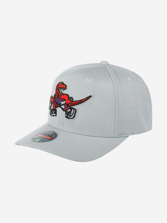 Бейсболка MITCHELL NESS 6HSSMM19487-TRAGREY Toronto Raptors NBA (серый), Серый Mitchell&Ness
