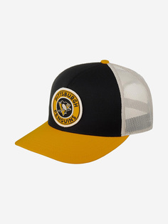 Бейсболка с сеточкой AMERICAN NEEDLE 42962A-PPN Pittsburgh Penguins Valin (желтый), Желтый