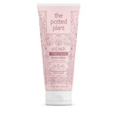 Лосьон Potted Plant Plums&Cream Body Lotion для ухода за кожей тела 100 мл