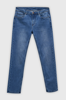 Джинсы мужские Finn Flare FAD25000 синие W36L34