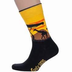 Носки мужские Para Socks FS10 черные; желтые 36-40