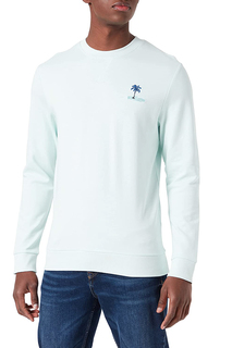 Свитшот мужской Esprit Edc 042CC2J301 зеленый L