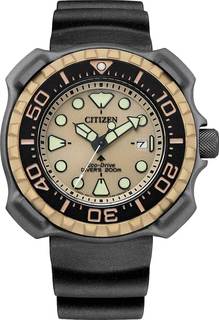 Наручные часы мужские Citizen BN0226-10P