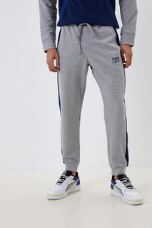 Спортивные брюки мужские VIENETTA 177200_2525 серые XL