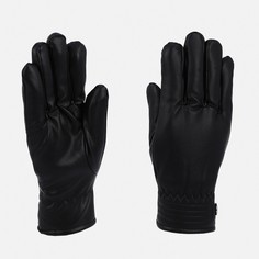 Перчатки мужские 9731788 черные, one size No Brand