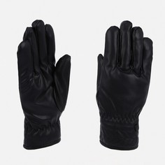 Перчатки мужские 9731789 черные, one size No Brand