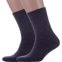 Комплект носков мужских Rusocks 2-М-580 синих 25, 2 пары