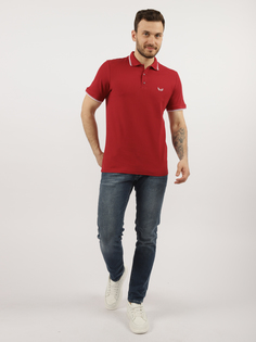Футболка мужская A PASSION PLAY SQ72131 бордовая 4XL