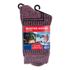 Носки мужские Master Socks серые 25