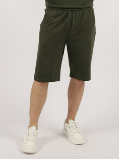 Шорты мужские A passion play SQ72176 хаки M