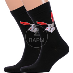 Комплект носков мужских Красная Ветка 2-С-2057 черных 25