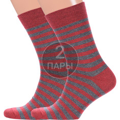 Комплект носков мужских Красная Ветка 2-С-1395 бордовых 27 2 пары