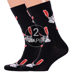 Комплект носков мужских Красная Ветка 2-С-2055 черных 25 2 пары
