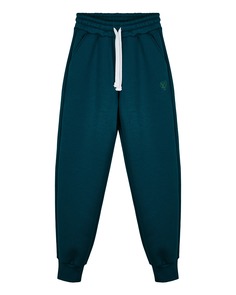 Брюки мужские Atmosphere Safe and warm синие XL Atmosphere®