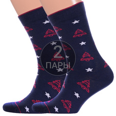 Комплект носков мужских Красная Ветка 2-С-1360 синий 25, 2 пары