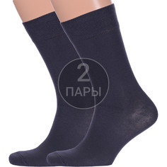 Комплект носков мужских Para Socks 2-M2 серых 27-29, 2 пары