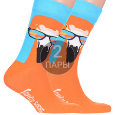 Комплект носков мужских Para Socks 2-FS1 разноцветных 36-40, 2 пары