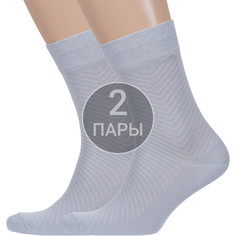 Комплект носков мужских Борисоглебский трикотаж 2-4С908 серых 25, 2 пары