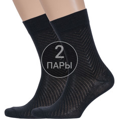 Комплект носков мужских Борисоглебский трикотаж 2-4С908 черных 29, 2 пары