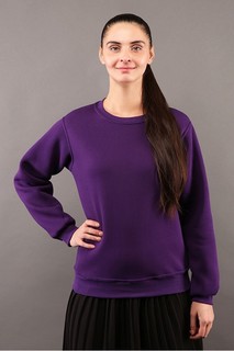 Свитшот женский Магазин Толстовок W-110-XXX-10-20-XX-W фиолетовый 44 RU