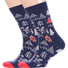 Комплект носков мужских Красная Ветка 2-С-1511 синих 25, 2 шт.