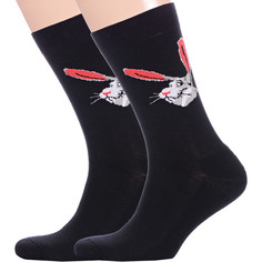 Комплект носков мужских Красная Ветка 2-С-1506 черных 27, 2 шт.