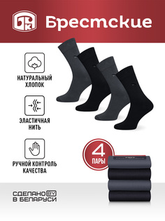 Комплект носков мужских Брестские 14с2122 серых; черных 25, 4 пары