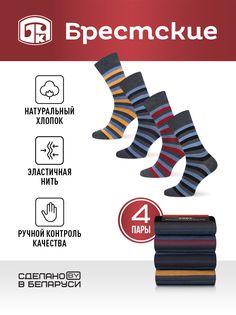Комплект носков мужских Брестские 14с2122 разноцветных 29, 4 пары