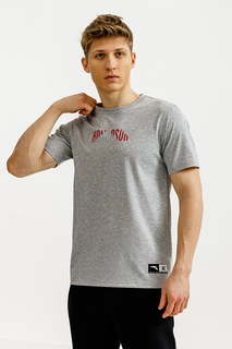 Футболка мужская Anta KT 852321145 серая M