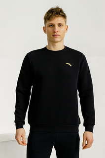 Свитшот мужской Anta CHN A-SPORTS SHAPE 852317704 черный S