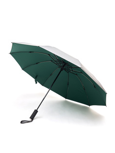 Зонт женский Sunny Love M502 зеленый-серебристый