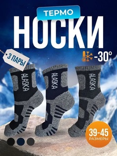 Комплект носков мужских ALASKA 1268 разноцветных 41-47 3 пары