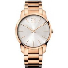 Наручные часы мужские Calvin Klein K2G21646