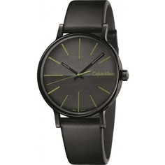 Наручные часы мужские Calvin Klein K7Y214CL