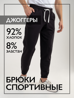 Спортивные брюки мужские Norm БЧ черные 52 RU