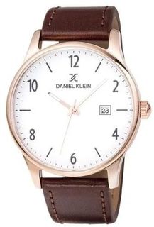 Наручные часы Daniel Klein 11995-5