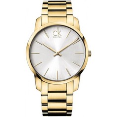 Наручные часы мужские Calvin Klein K2G21546 золотистые