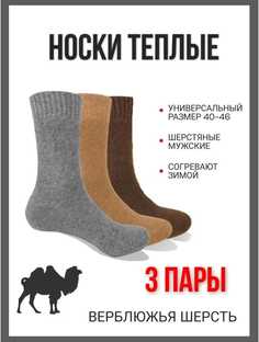 Комплект носков мужских Gazan Верблюжья шерсть в ассортименте 40-46, 3 пары