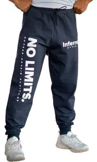 Спортивные брюки мужские INFERNO style Б-001-002-07 серые XL