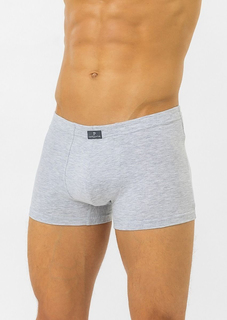 Трусы мужские Pantelemone PMH-071 серые 52 RU