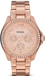 Наручные часы Fossil AM4483