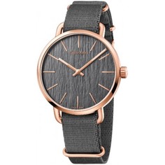 Наручные часы мужские Calvin Klein K7B216P3 серые