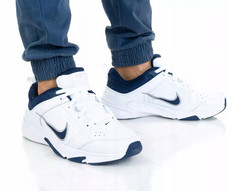 Кроссовки Nike для мужчин, бело-синий-100, DJ1196 100, размер 42