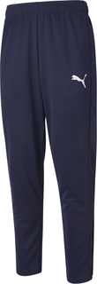 Спортивные брюки мужские PUMA 58673106 синие XL