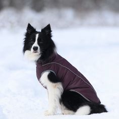 Жилет для собак OSSO Fashion Аляска, зимний, унисекс, бордо, плащевка, длина спины 29 см