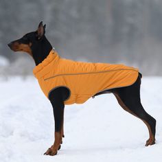 Жилет для собак OSSO Fashion Аляска, зимний, унисекс, оранжевый, плащевка, 24 см