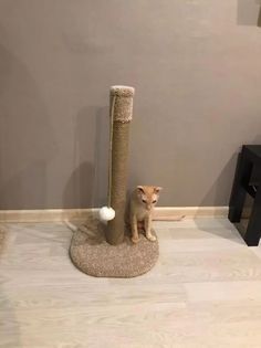 Когтеточка для кошек Моя котя Столбик для Мурзика, бежевый, высота 65 см